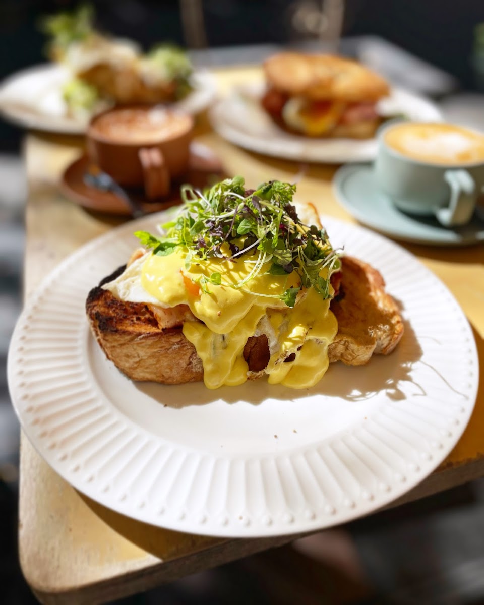 Penny University Café Photos 2